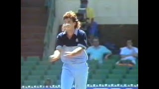 RARE 18yearold Damien Fleming dismissing the Waugh brothers VIC vs NSW FAI Cup semi final 198889 [upl. by Sairacaz400]