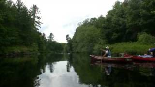 Black River East Branch Hatfield Wisconsin [upl. by Tavi]