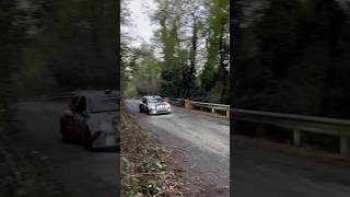 Clio s1600 🫶🏻 renaultsport rallydellalanterna rally race clios1600 sound motorsport speed [upl. by Ball207]