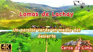 LOMAS DE LACHAY cómo llegar desde Lima 🇵🇪 [upl. by Iuqcaj845]