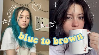 DYEING MY HAIR BROWN IN QUARANTINE schwarzkopf simply color in intense espresso [upl. by Nettirb]