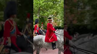 Up close at the Trooping of the Colour royalfamily princessofwales williamsndkate royalvisit [upl. by Aimekahs]