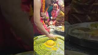 Live darshan of shri Vaidyanath jyotirlinga jai bhole nath  jai shiv shanker [upl. by Llemrej]