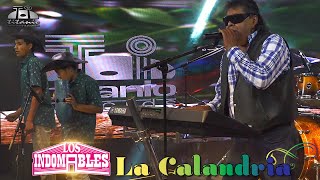 Los Indomables  La Calandria Official Video [upl. by Marcelline]