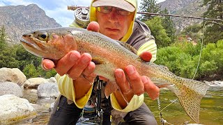 Fly fishing Kings Canyon amp Tenmile 7308624 [upl. by Jobyna]