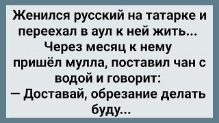 Женился Русский На Татарке и Попал Сборник Свежих Анекдотов Юмор [upl. by Yelats]