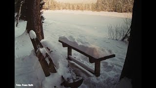 Winter am Fichtelsee [upl. by Minardi]