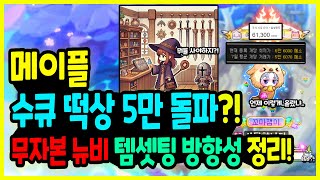 메이플 수큐 5만 메소 삼성전자 직전🦸‍♀️ 비수기 천고마비 계절 🎁 뉴비들의 템셋팅 방향성 총정리하기🚀 [upl. by Yelir]