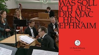 JS Bach  Aria quotGerechter Gott ach rechnest duquot from Cantata BWV 89 [upl. by Anahcar]