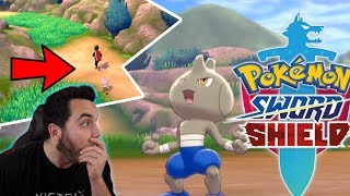 1ST ENCOUNTER This Shiny CHASED ME Shiny Tyrogue in Pokemon Sword and Shield [upl. by Jose]