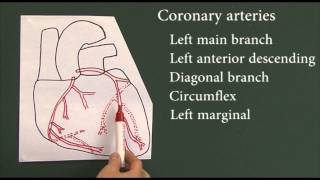 Heart disease 9 Coronary arteries [upl. by Donavon]