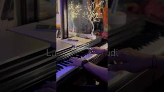 Experience  Ludovico Einaudi piano experience pianomusic ludovicoeinaudi pianocover fyp [upl. by Adnohryt]