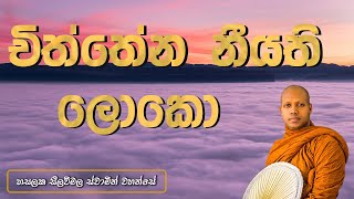 චිත්තේන නීයති ලොකො Hasalaka Seelawimala Thero [upl. by Aihppa]