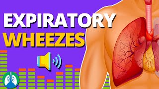 Expiratory Wheezes Monophonic vs Polyphonic  Respiratory Therapy Zone [upl. by Dnalon122]