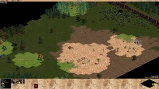 Age Of Empires 141 [upl. by Sesom]