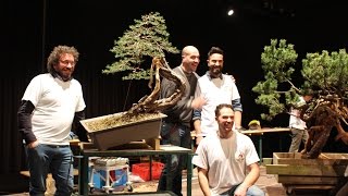 How to style a Pine Bonsai by Mauro Stemberger [upl. by Eentroc]