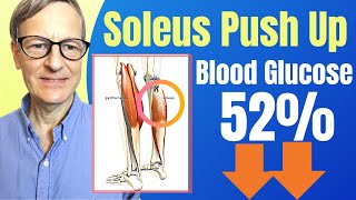 A Seated Exercise To Reduce Glucose Up To 52 [upl. by Phillie]