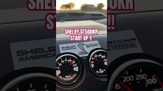 SHELBY GT500KR START UP  shelby startup mustang [upl. by Nareik]