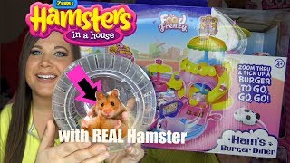 Real Hamsters in a house vs Fake Toys Hamsters in a house BY Zuru Hamster playing eating and mansion [upl. by Kenlay115]