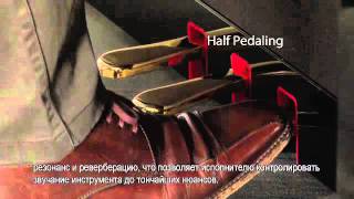 Yamaha CLP Педаль GP Piano Response Damper pedal [upl. by Larred]