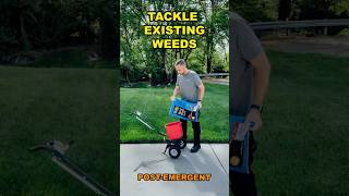 Getting Rid of Weeds  Weed amp Feed lawn lawncare lawnmaintenance [upl. by Atimed]