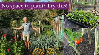 Interplanting tips for early autumn  Gardening Tips and Tricks  Charles Dowding [upl. by Gnov]