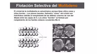 Flotación selectiva de Molibdeno [upl. by Catriona]