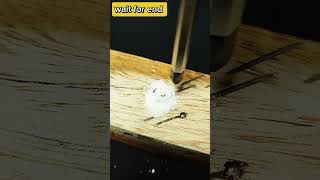 how to remove stripped screw  screw trick 🪛🤔 diy ideas [upl. by Rihana673]