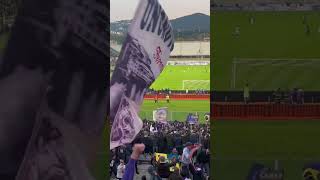 SE FOSSE SEMPRE DOMENICA LA FIORENTINA FOSSE PRIMA IN CLASSIFICA Fiorentina  Hellas Verona 31 💜 [upl. by Enaitsirhc]