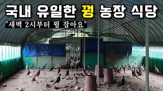 장끼만 2천마리 키우면서 운영하는 국내 유일한 꿩 식당  충주 수안보 대장군 [upl. by Yvor]