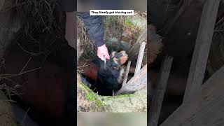 Man rescues stray dog trapped in wellanimals animalsrescue [upl. by Dodwell449]