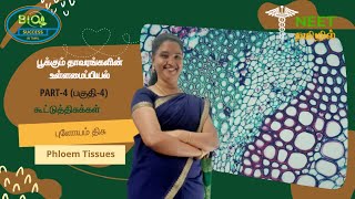 Anatomy of Flowering Plants  Part 4  Complex Tissues  Phloem Tissues  NEET Tamil [upl. by Lleoj]