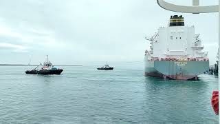 LNG VESSEL  unberthingship tranding ocean shorts seafarer master tugs adani [upl. by Nayra63]