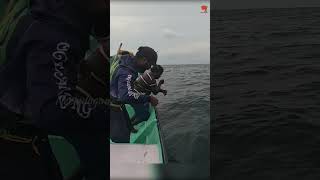 Catching King Fish in the Deep Sea fishing fishingvideo oceanfishing [upl. by Nomrah]