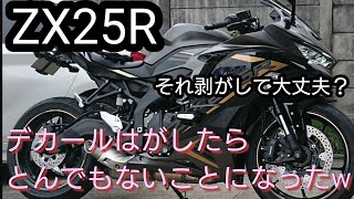 バイクのデカールを剥がしたらとんでもないことになったwwあなたのバイクのステッカーやデカールは大丈夫？ [upl. by Leumek]