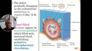 PLACENTA  A LIFE JOUNRY IN THE WOMB [upl. by Weiser]