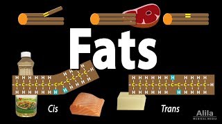 Unsaturated vs Saturated vs Trans Fats Animation [upl. by Labaw]