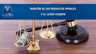 Tasación de los perjuicios morales y el lucro cesante Consejo Derecho Público [upl. by Tri]