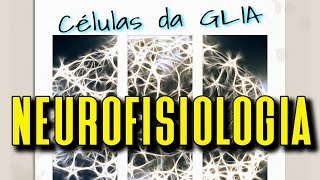 Células da Glia  Base para a sustentação dos neurônios [upl. by Cilo131]