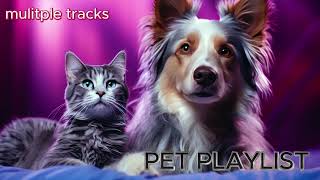 FUN amp PLAYFUL PET PLAYLIST VIDEO [upl. by Ahsenit717]