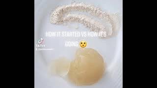 Use sea moss powder to make sea moss gel [upl. by Eremihc504]