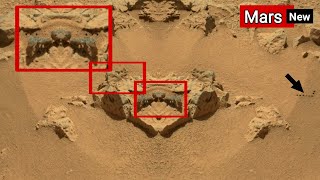 NASAs Mars Rover Released Latest Remarkable 180° Shocking Images of Mars Life Perseverance update [upl. by Ajin9]