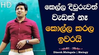 සුදාප්පච්චි කරපු වැඩක් 😂  Dinesh Muthugala  dineshmuthugala muthugalasir [upl. by Latoya589]