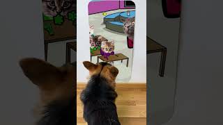 DOG reaction to Kittens and Cat Cup Song😱🕷️😲Song of Baby Shark [upl. by Ailime]