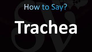 How to Pronounce Trachea CORRECTLY [upl. by Acissj]