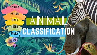 Animal Types  Animal Classification  Animal Groups 🌎🐘🦩🐠🐍🦎🐌 [upl. by Elleinad]