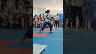 poomsae 13 sipjinTaekwondopoomsae [upl. by Kanter]