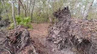 Fosters Hammock Singletrack to River Overlook [upl. by Lida360]