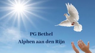 PG Bethel Alphen ad Rijn Zondagdienst 24 November 2024 [upl. by Anawat]