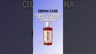 SHAMPOO MEDICADO DERMICARE [upl. by Iknarf]